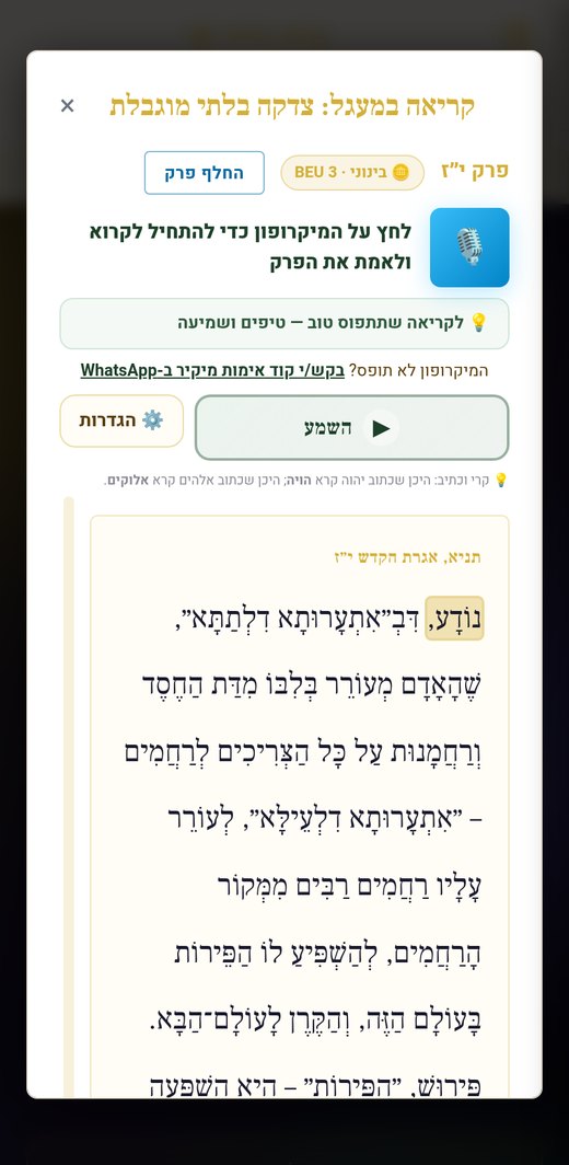 חוויית הקריאה