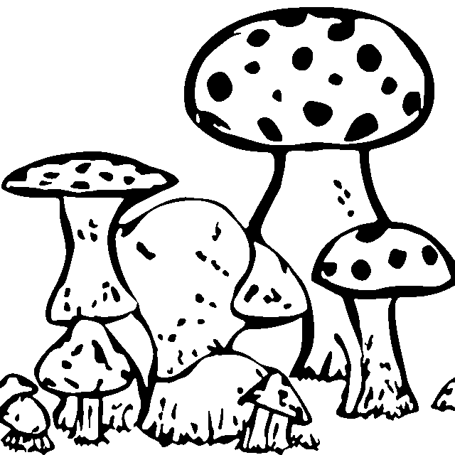 פטרייה — דף צביעה להדפסה