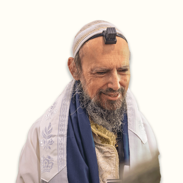 הרב דב הכהן קוק